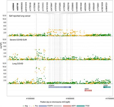 Absence of Association between a Long COVID and Severe COVID-19 Risk Variant of FOXP4 and Lung Cancer